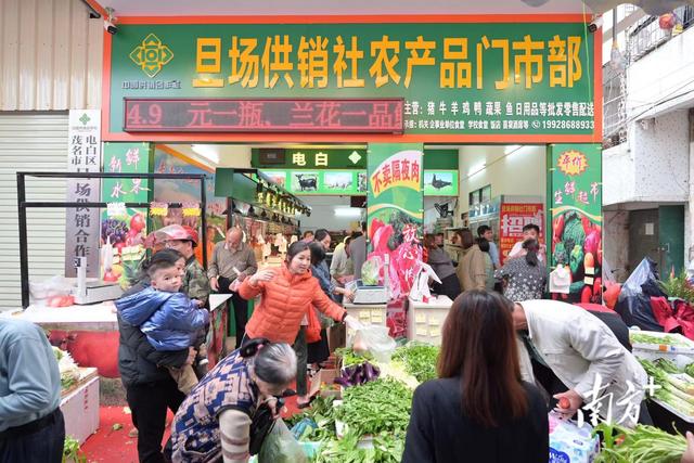 平價新鮮，從田間到餐桌——茂名電白供銷系統(tǒng)打造不隔夜生鮮超市